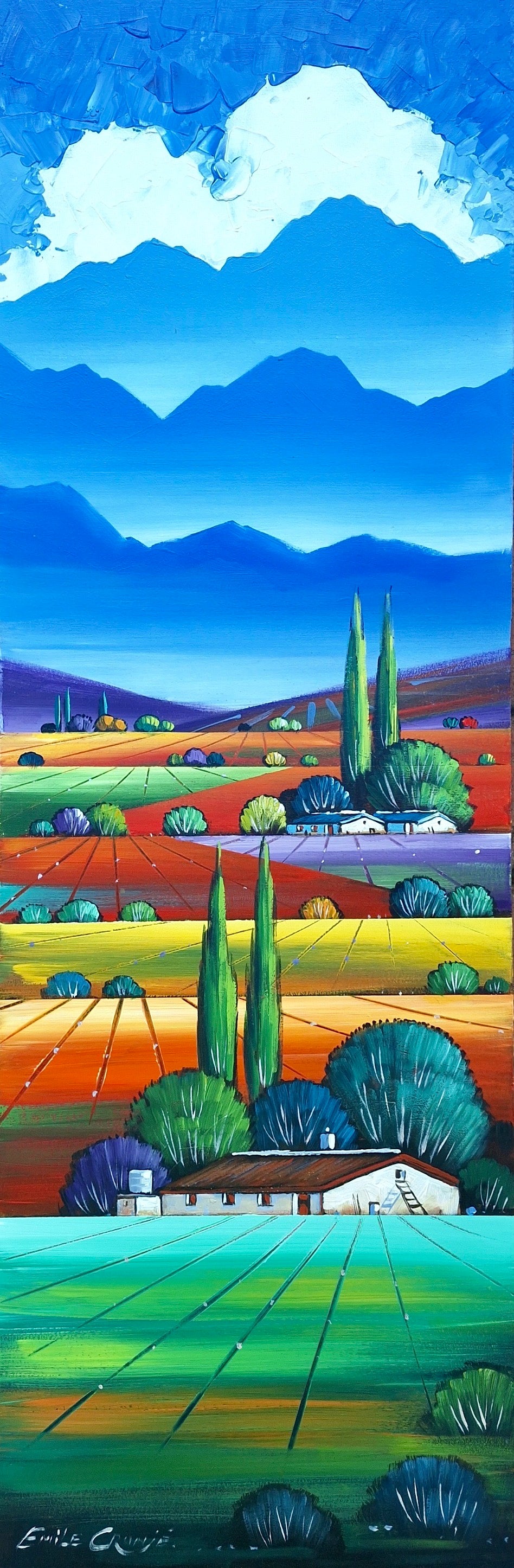 Emile Cronje - 900mm x 340mm