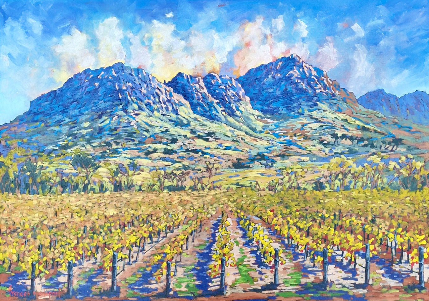 Frances Wedepohl - Lourensford Vineyards (840mm x 600mm)