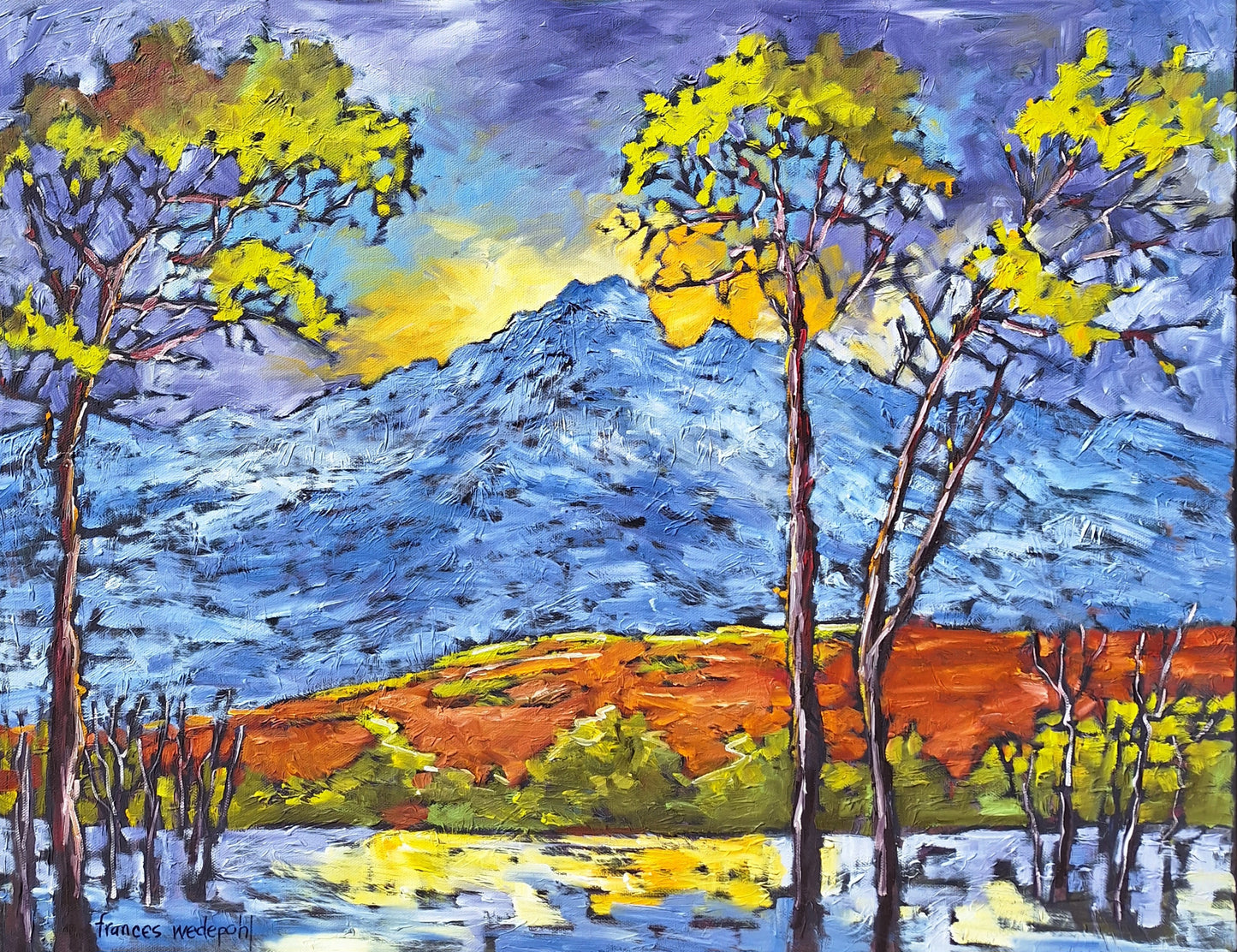 Oil on Stretched Canvas by Frances Wedepohl