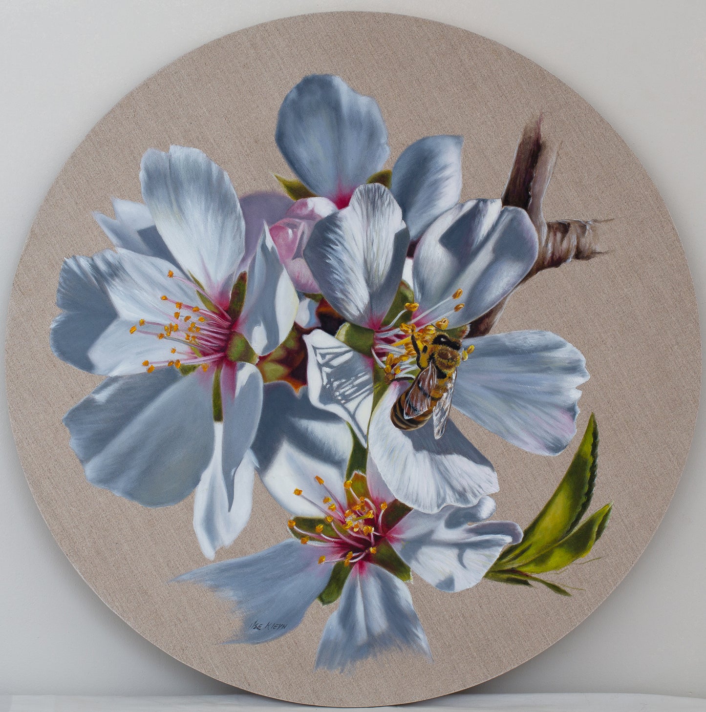 Ilse Kleyn - "Shaked" - Watchful (700mm Diameter)