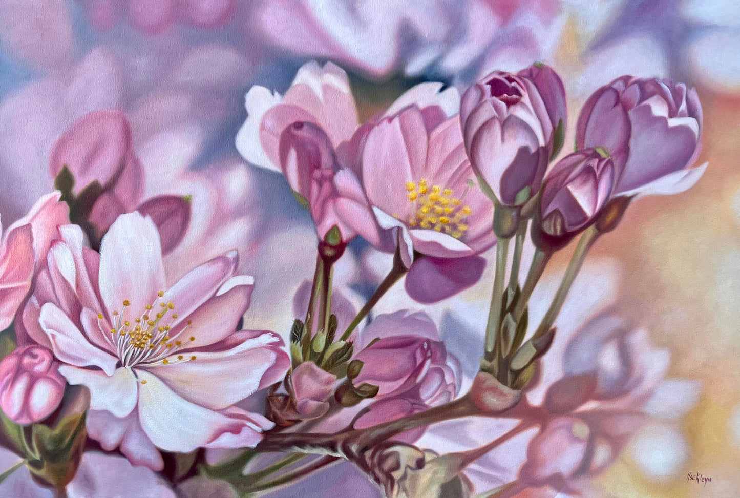Ilse Kleyn - Hanami (1200mm x 800mm)