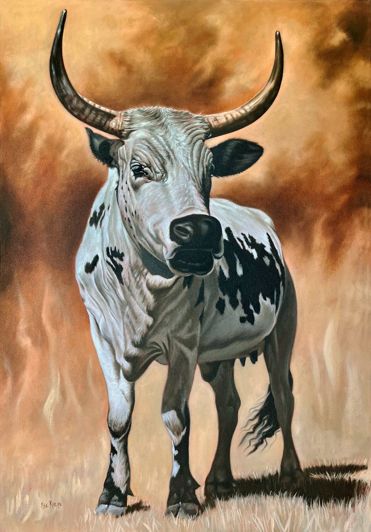 Ilse Kleyn - Nguni (1000mm x 700mm)
