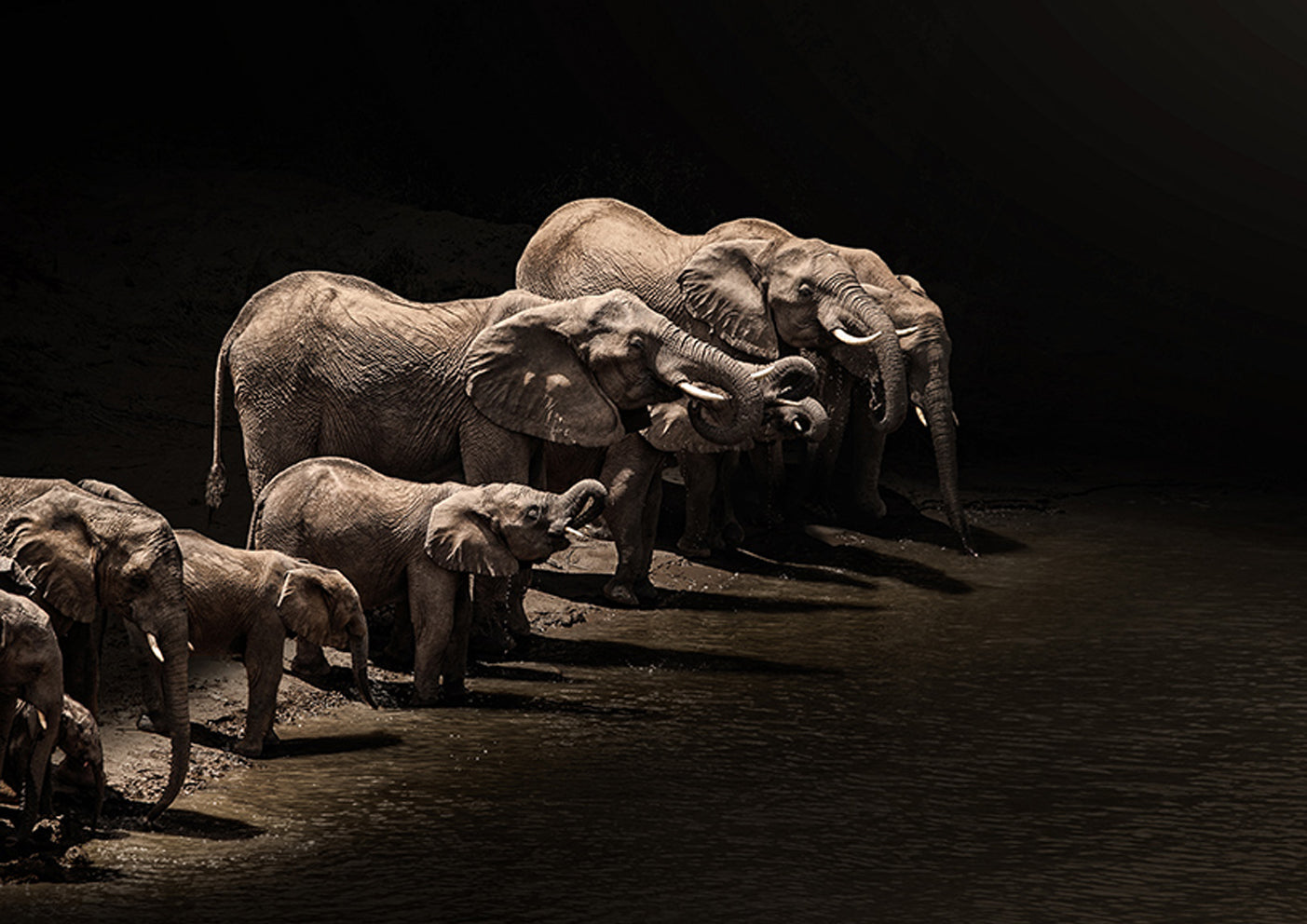 A Gathering Of Giants by Ryan Abbott