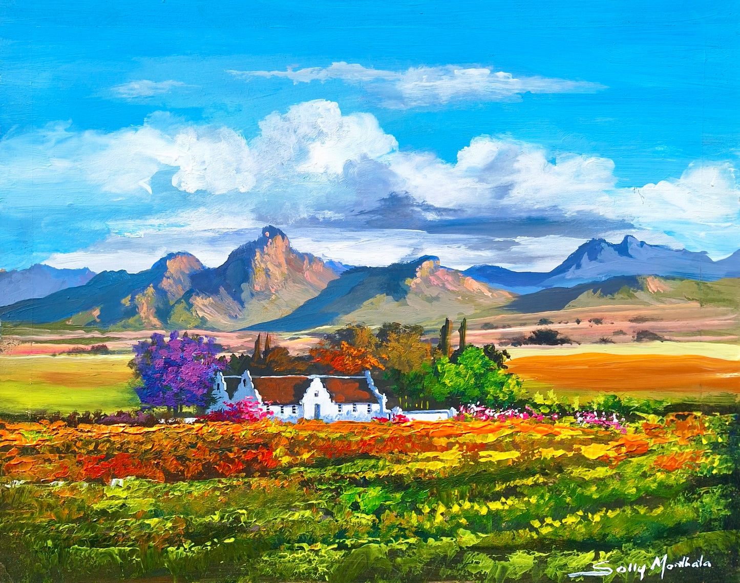 Solly Manthata - (480mm x 380mm)