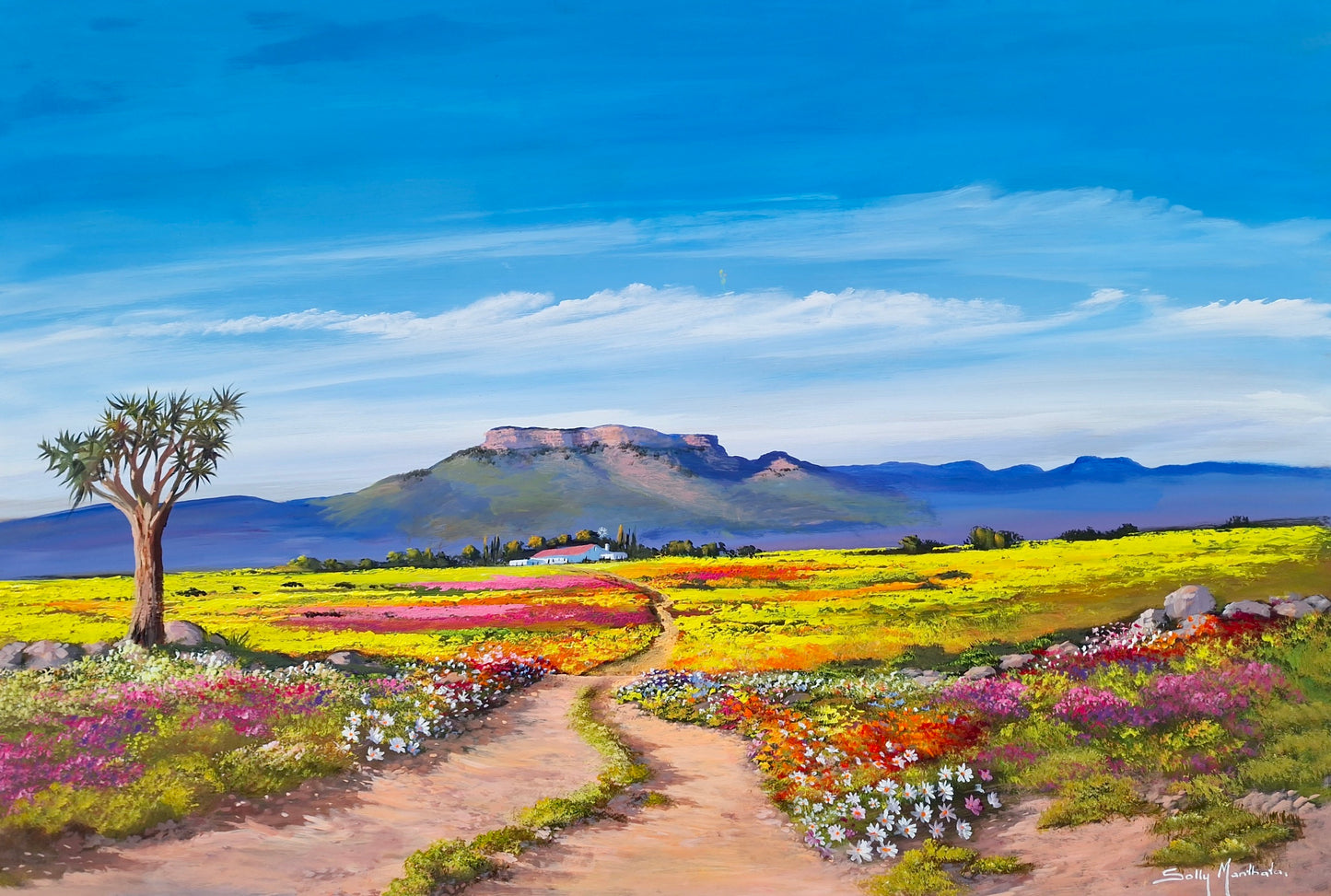 Print on Canvas - The Road to Namaqua by Solly Manthata