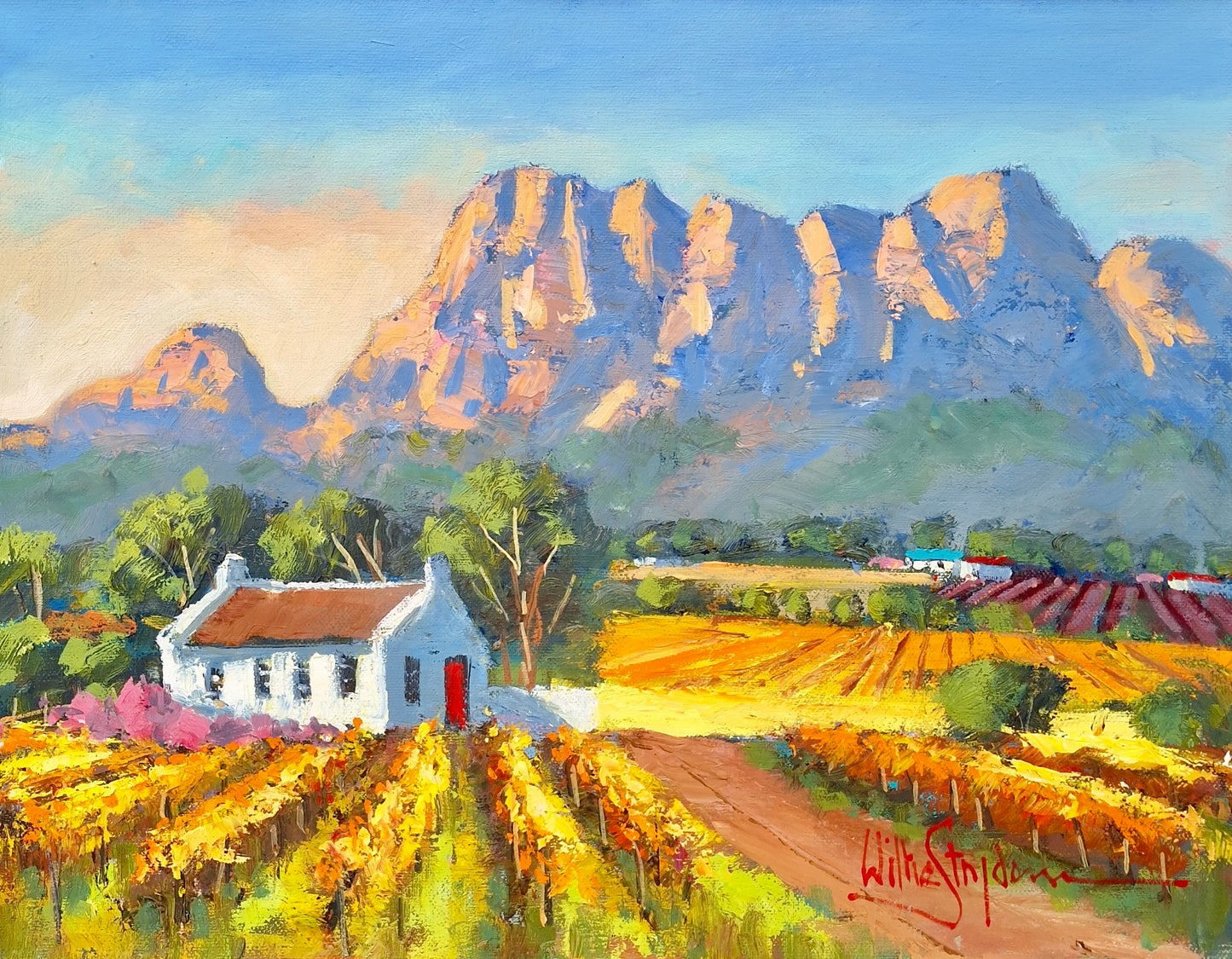 Willie Strydom - 450mm x 350mm