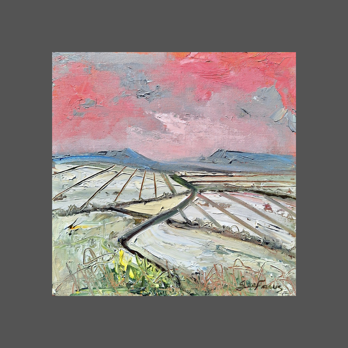 Stefanus Kotze - 400mm x 400mm