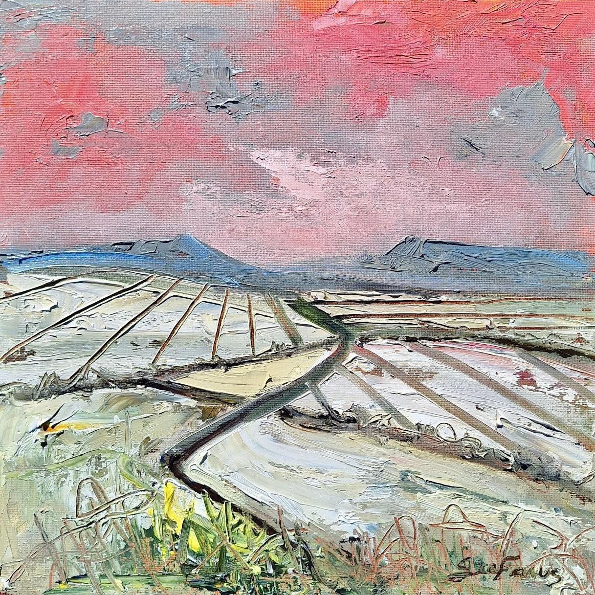 Stefanus Kotze - 400mm x 400mm