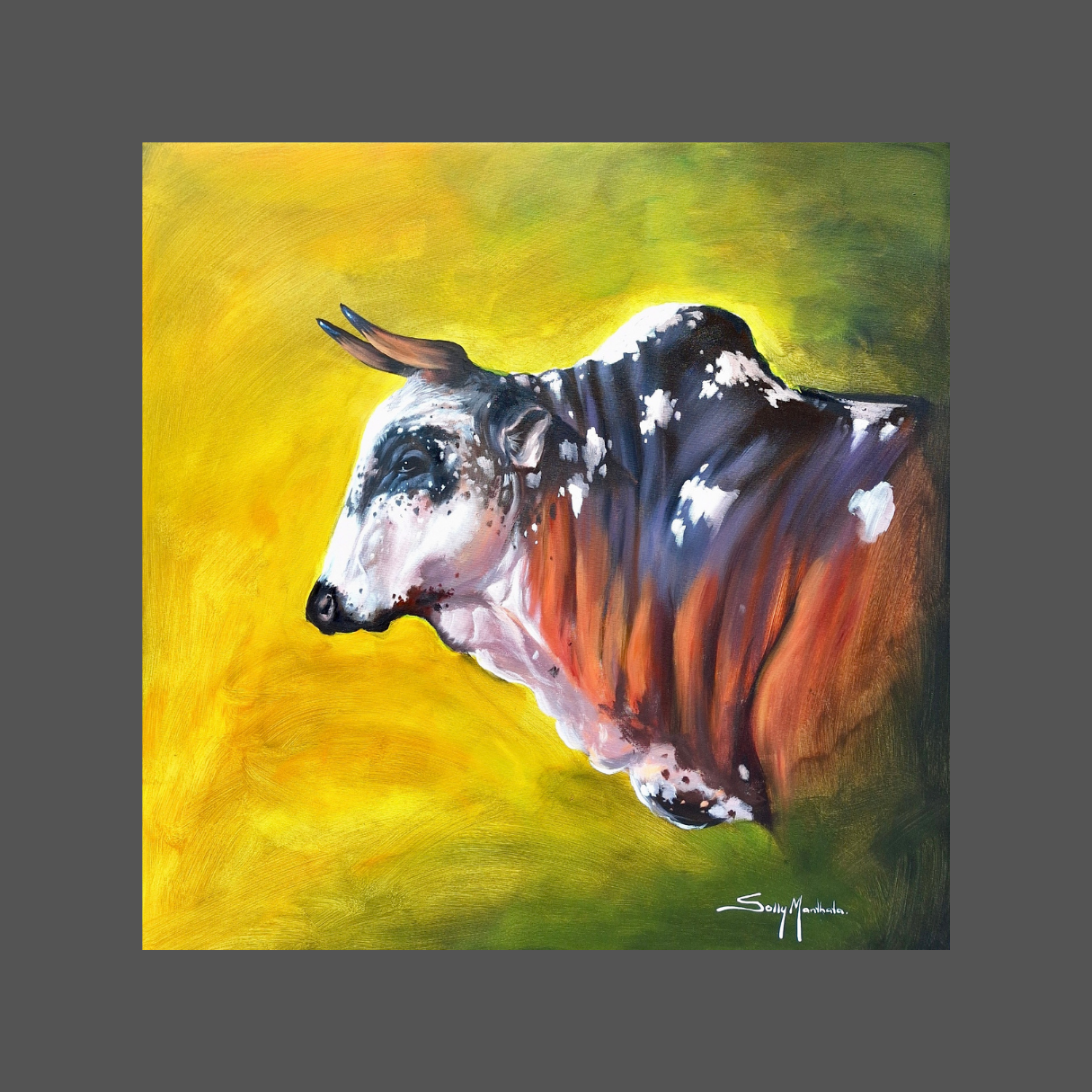 Solly Manthata - 700mm x 700mm
