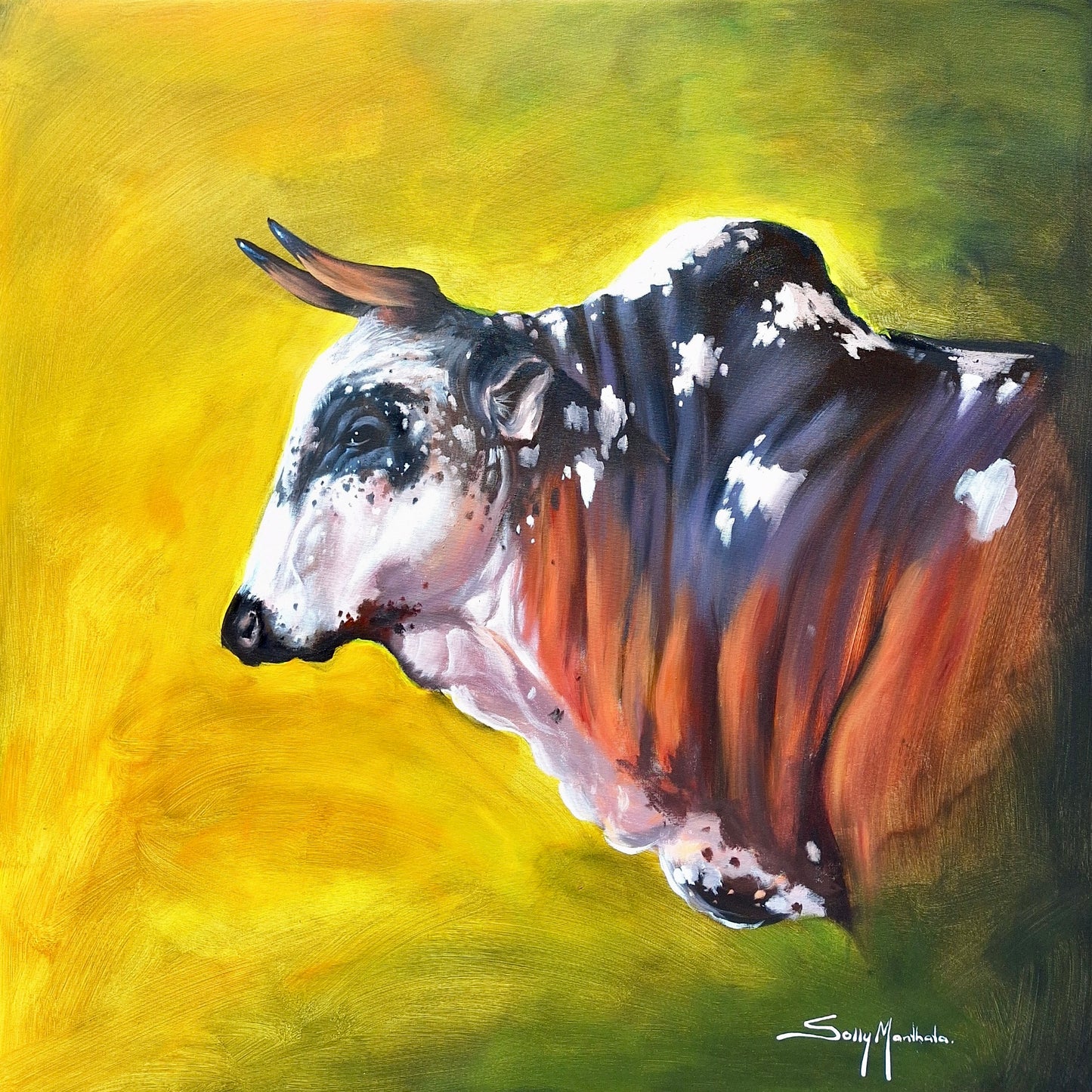 Solly Manthata - 700mm x 700mm