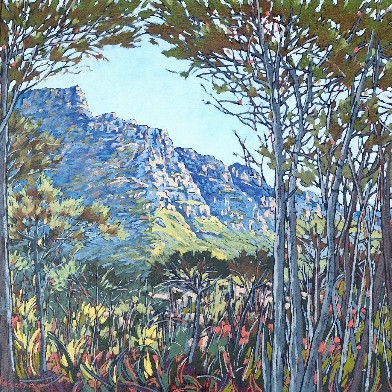 Frances Wedepohl - From Signal Hill (700mm x 700mm)