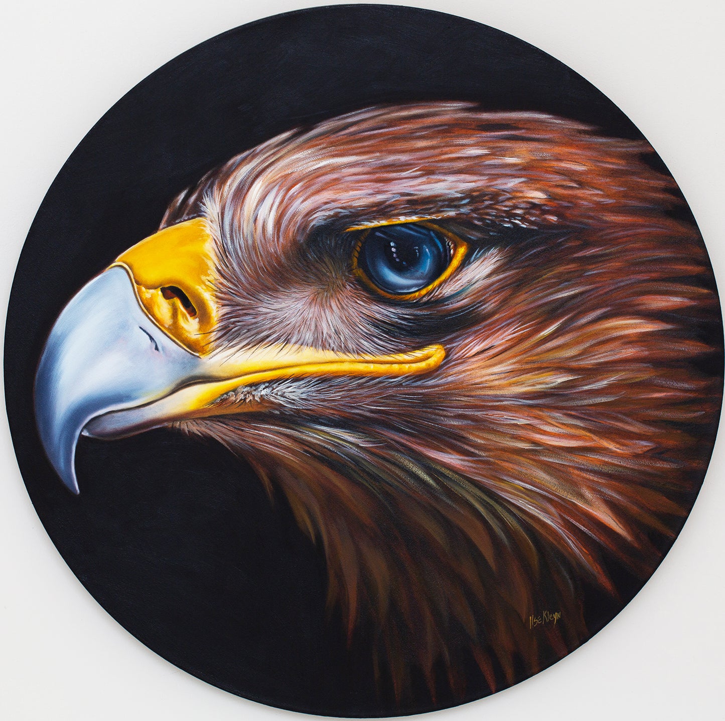 Ilse Kleyn - Sovereignty (700mm Diameter)