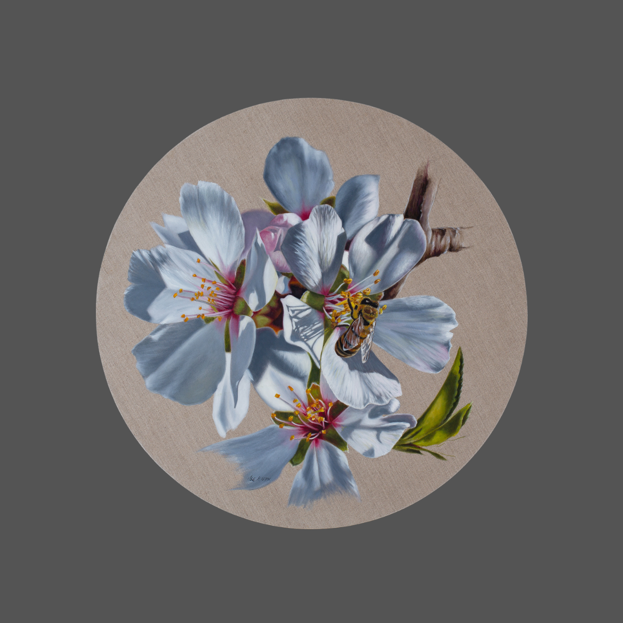 Ilse Kleyn - "Shaked" - Watchful (700mm Diameter)