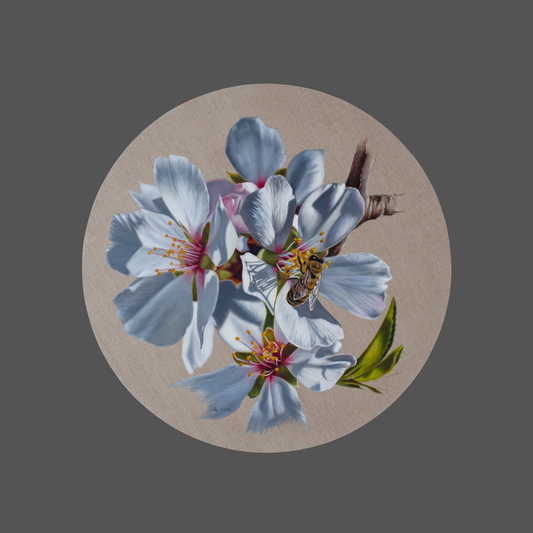 Ilse Kleyn - "Shaked" - Watchful (700mm Diameter)