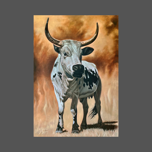 Ilse Kleyn - Nguni (1000mm x 700mm)