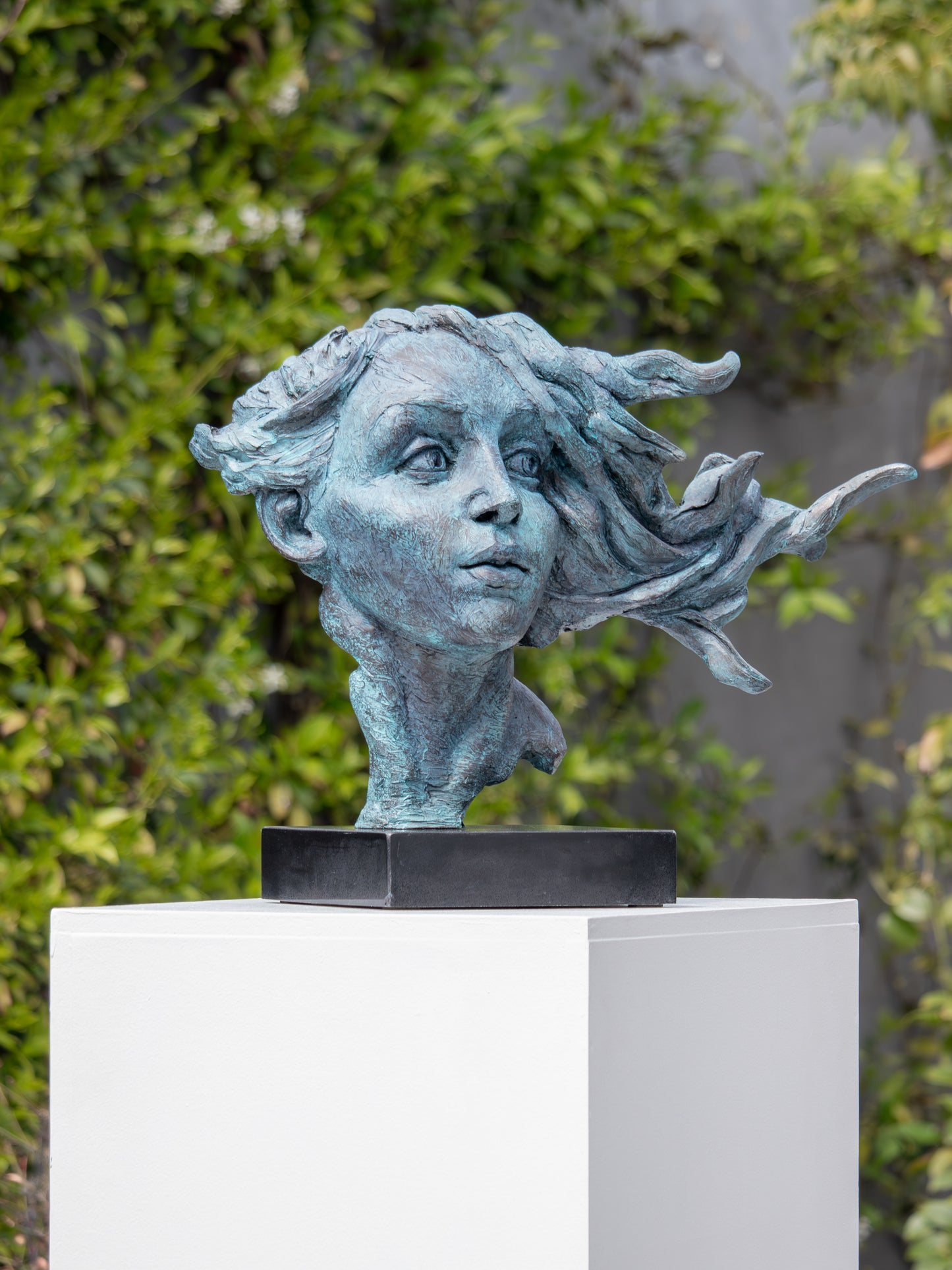 Armand van Rensburg - (Aura "Renaissance Style Bust")