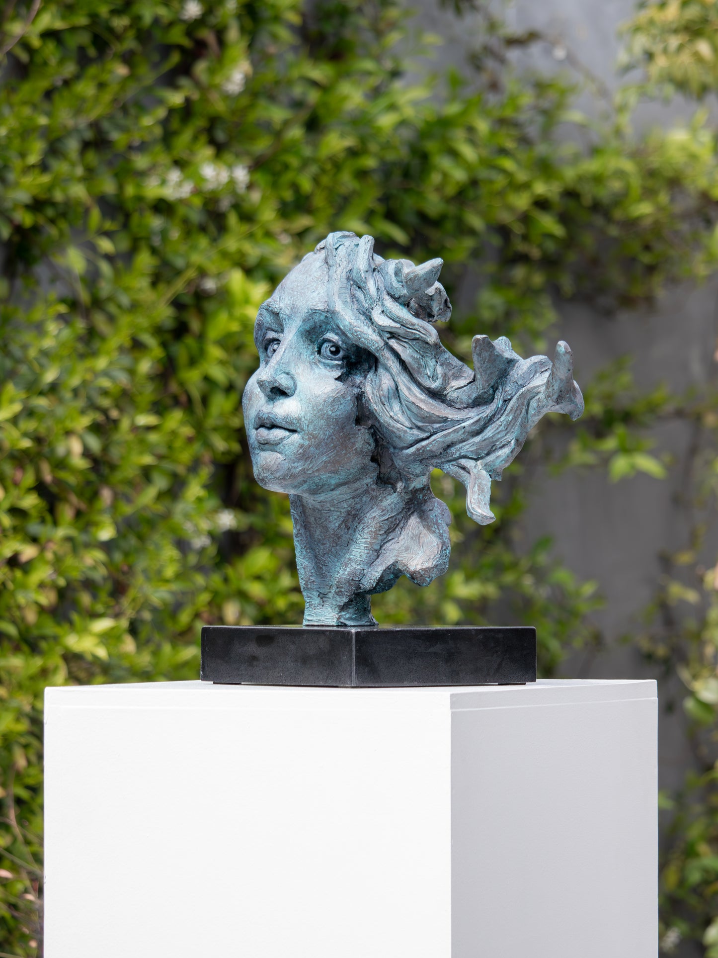 Armand van Rensburg - (Aura "Renaissance Style Bust")