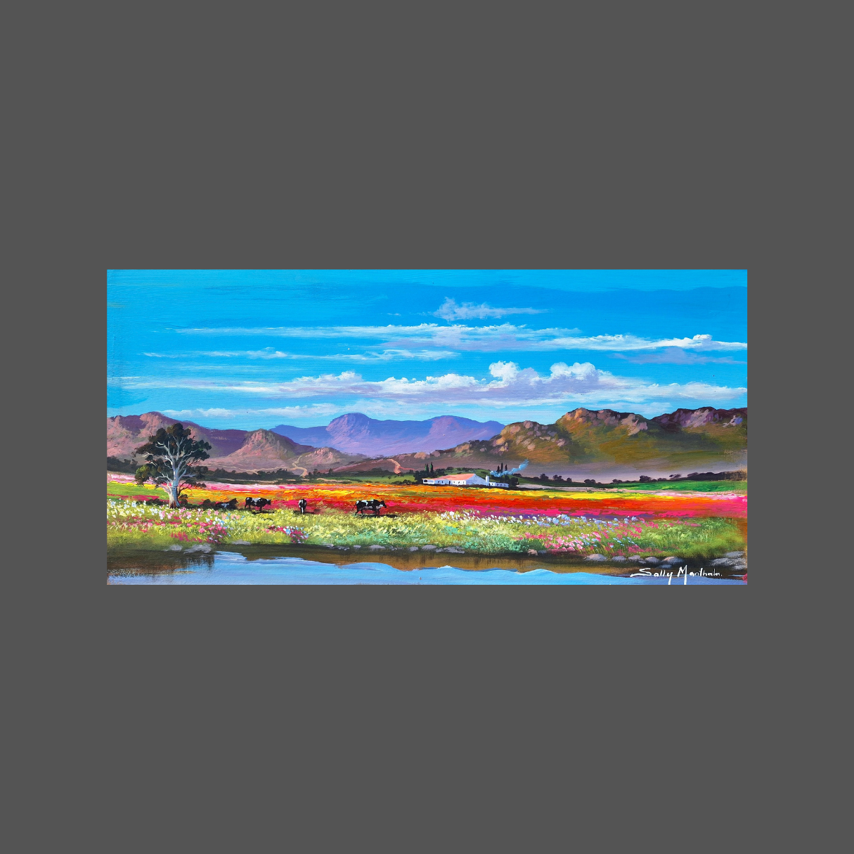 Solly Manthata - (640mm x 320mm)