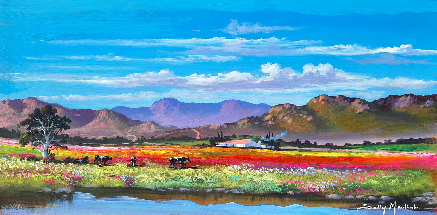 Solly Manthata - (640mm x 320mm)