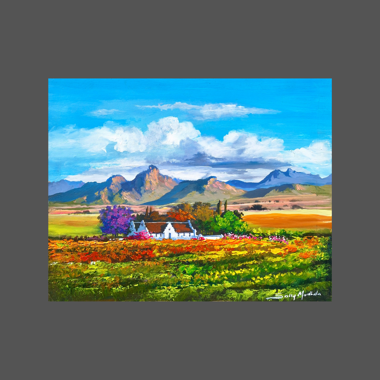 Solly Manthata - (480mm x 380mm)
