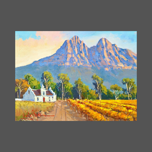 Willie Strydom - 400mm x 300mm