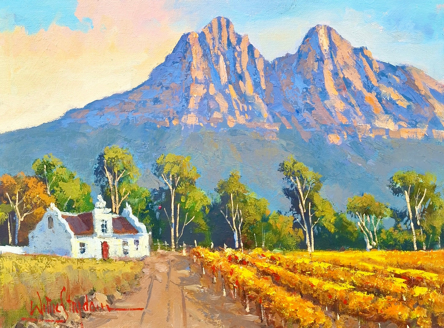 Willie Strydom - 400mm x 300mm