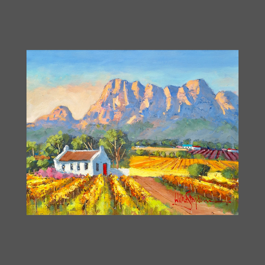 Willie Strydom - 450mm x 350mm