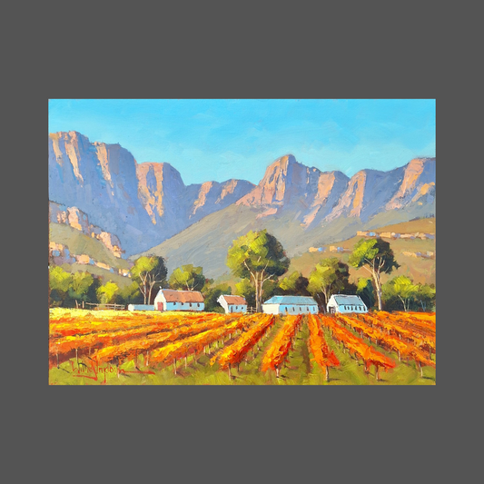 Willie Strydom - 600mm x 450mm