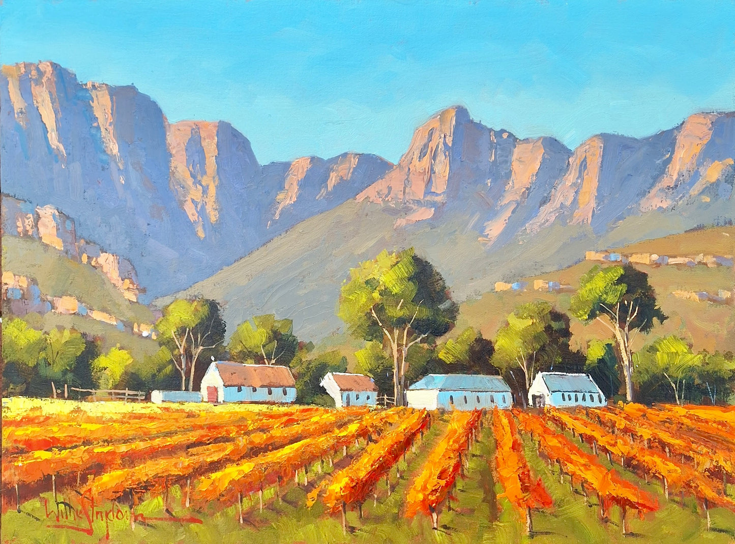 Willie Strydom - 600mm x 450mm